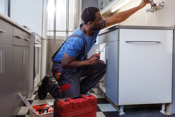 Best Plumbing Inspection Services  in Granite Falls, MN